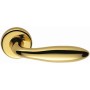 mach dore brillant